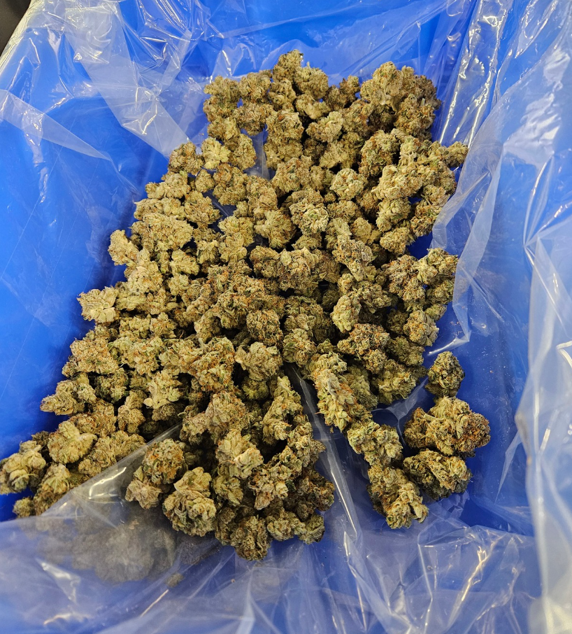 Muskoka Grown behind the scenes