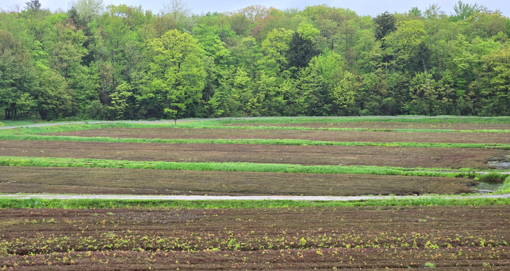 Muskoka Lakes Farm and Winery