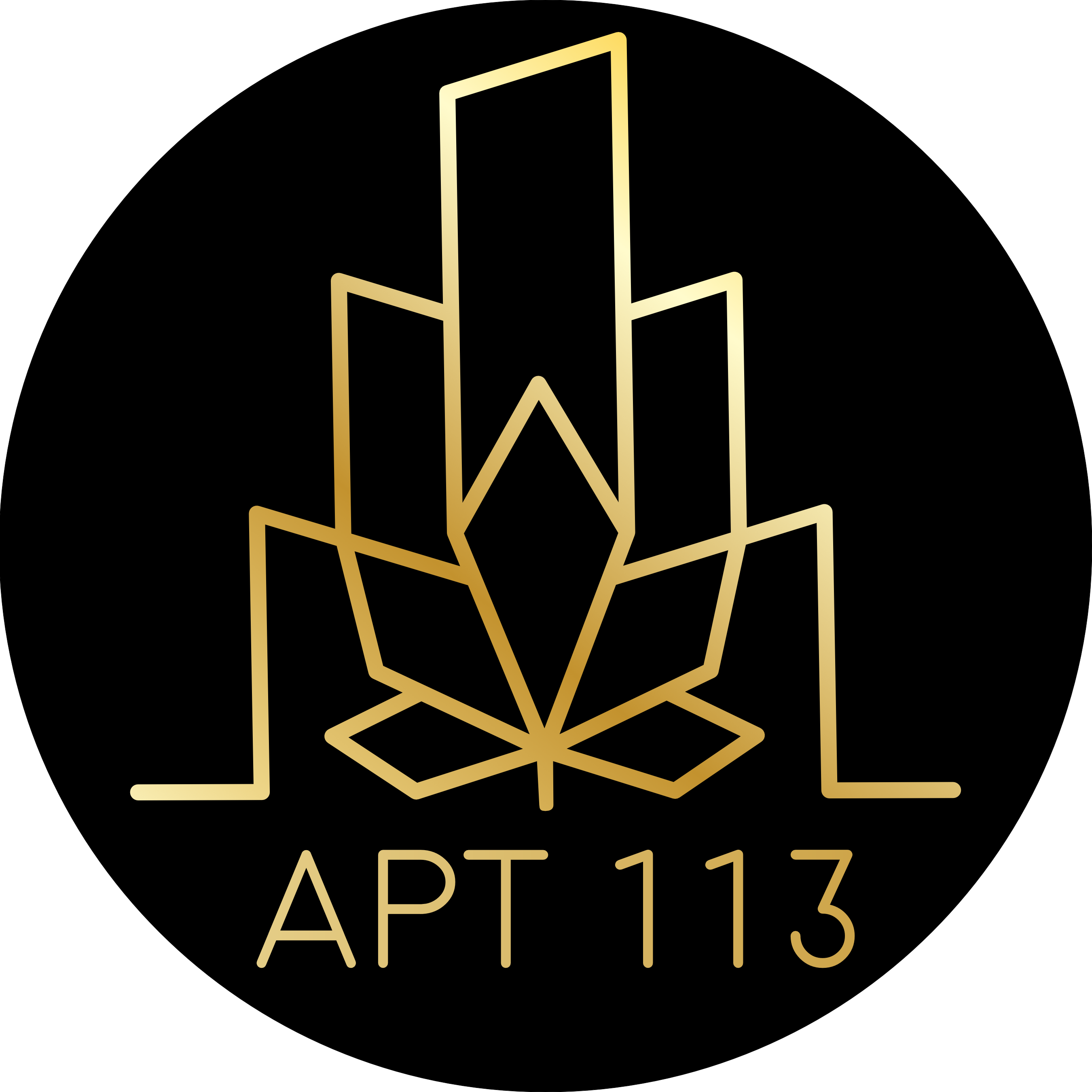 Apt 113